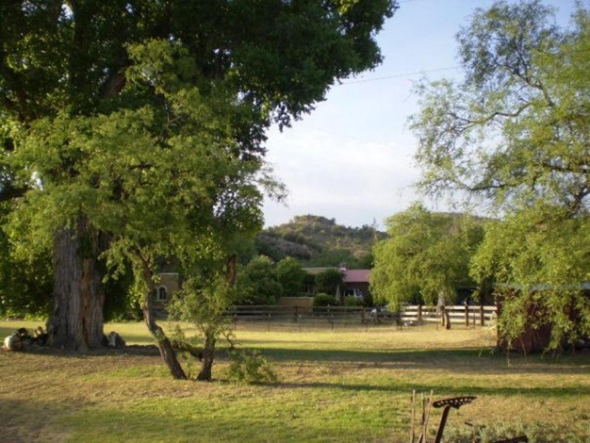 Spirit Tree Inn B&B Patagonia エクステリア 写真
