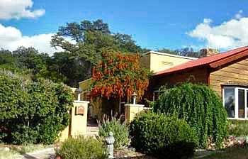 Spirit Tree Inn B&B Patagonia エクステリア 写真